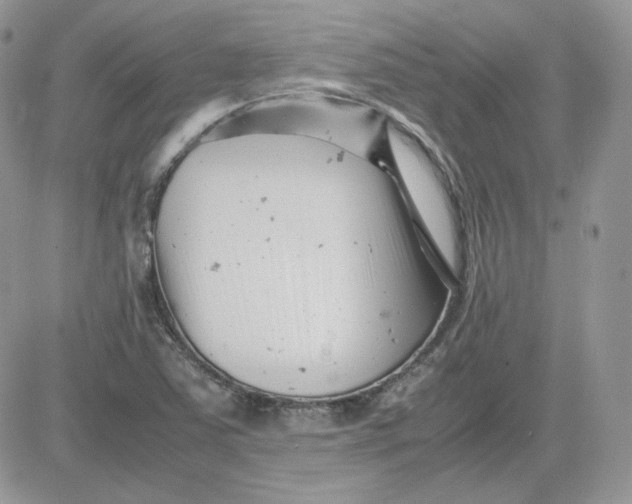 X0000081431363200701261812