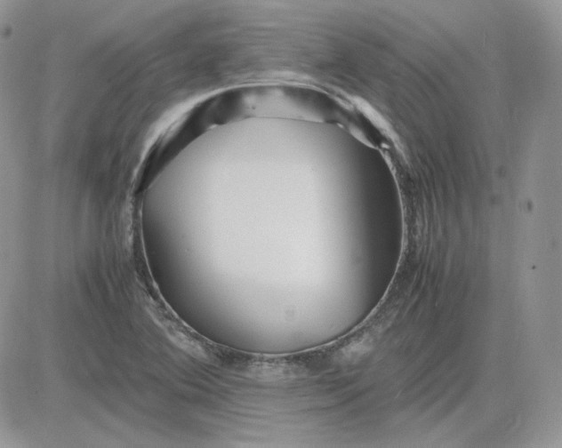 X0000081431364200701261812