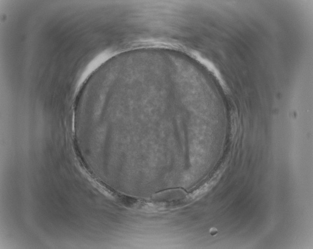 X0000081431365200701261812