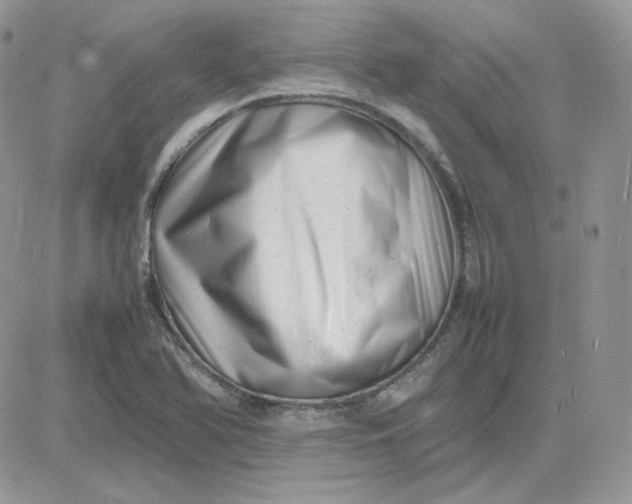 X0000081431366200701261812