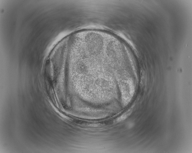 X0000081431367200701261812