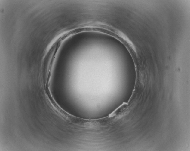 X0000081431368200701261812