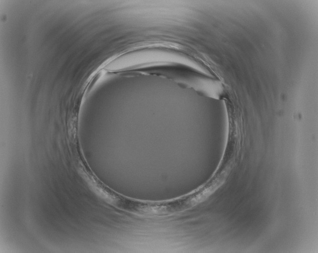 X0000081431369200701261812