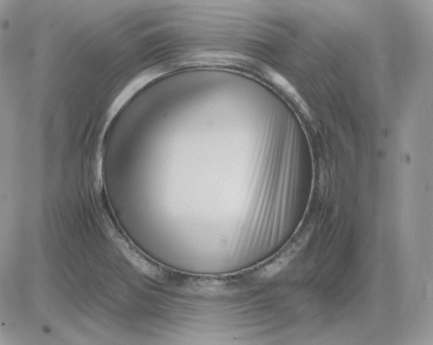 X0000081431370200701261812