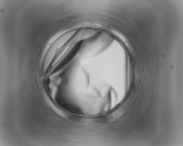 X0000081431371200701261812