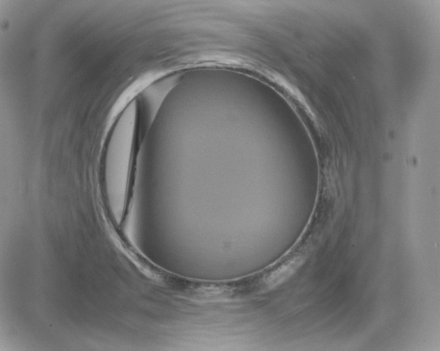 X0000081431373200701261812