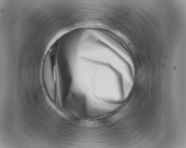 X0000081431374200701261812