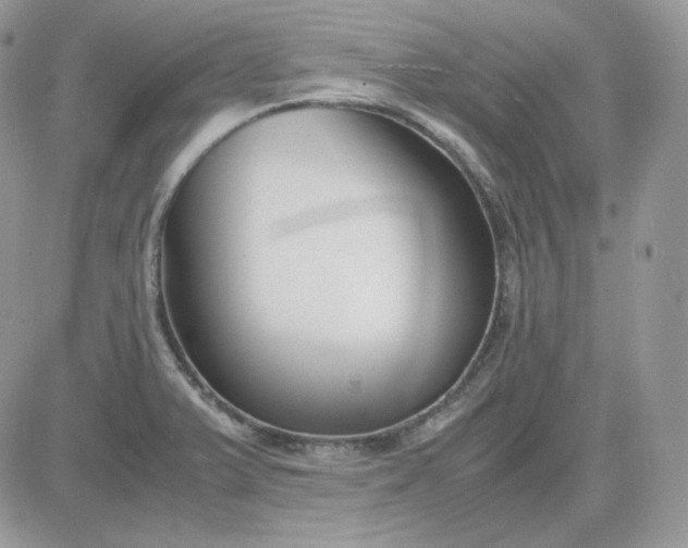 X0000081431375200701261812