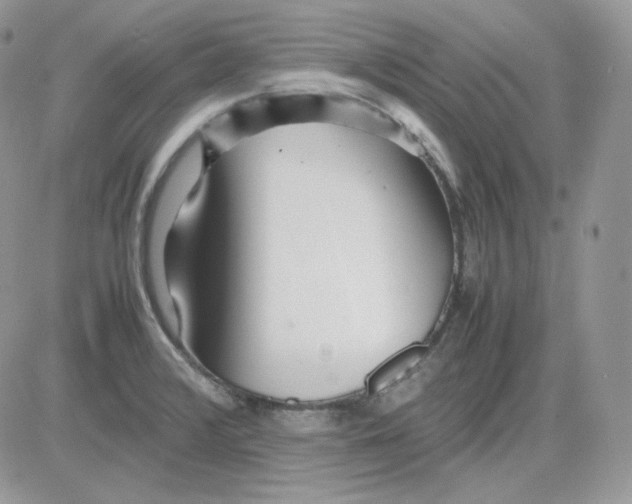 X0000081431376200701261812