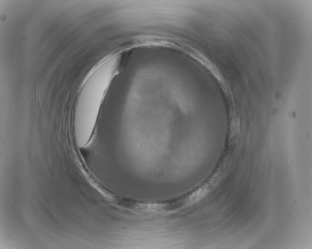 X0000081431377200701261812