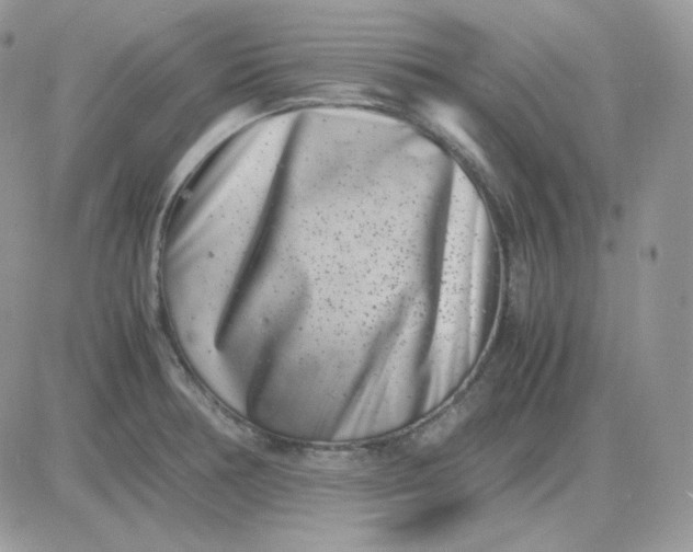 X0000081431378200701261812