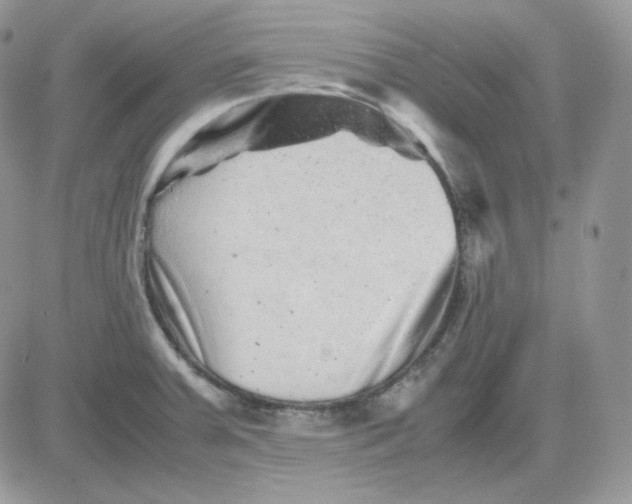 X0000081431379200701261812