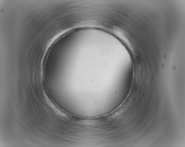 X0000081431380200701261812