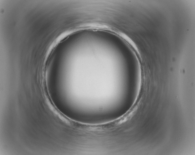 X0000081431381200701261812