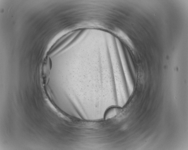 X0000081431382200701261812