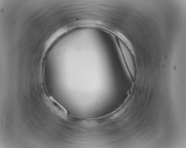 X0000081431384200701261812