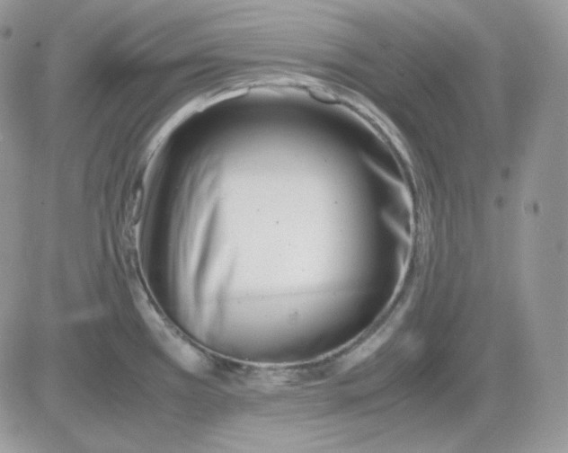 X0000081431385200701261812