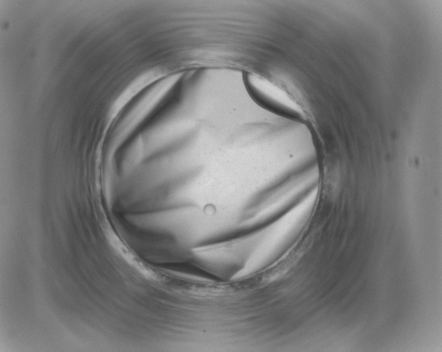 X0000081431386200701261812