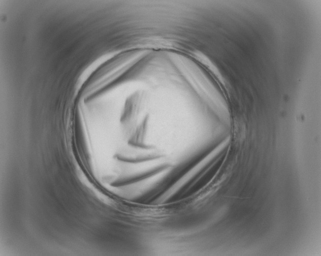 X0000081431387200701261812