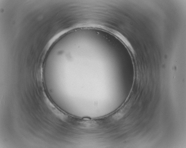 X0000081431388200701261812