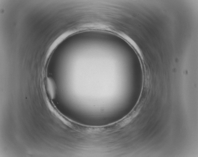 X0000081431389200701261811