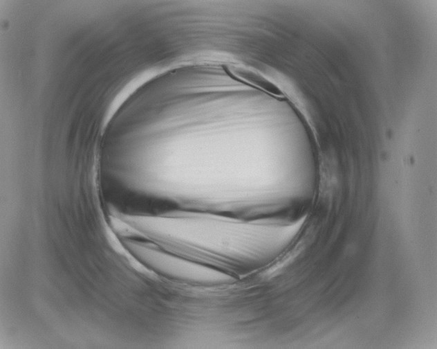 X0000081431390200701261811