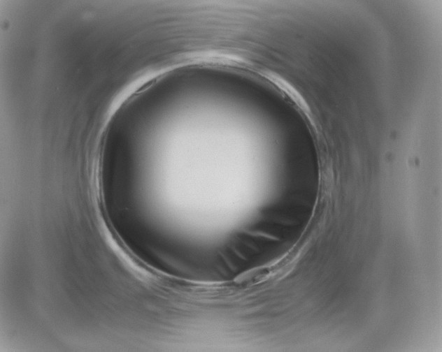 X0000081431391200701261811