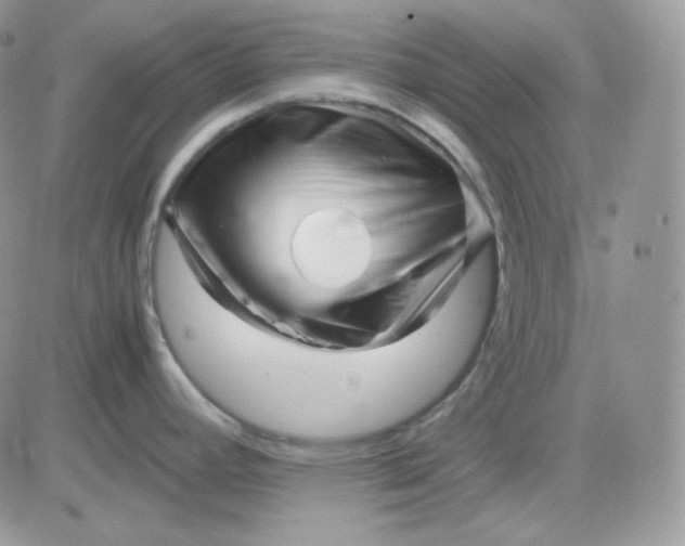 X0000081431392200701261811