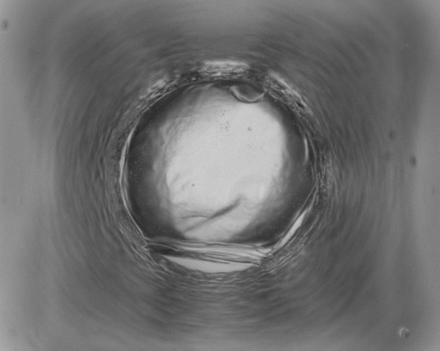 X0000081431393200701261811