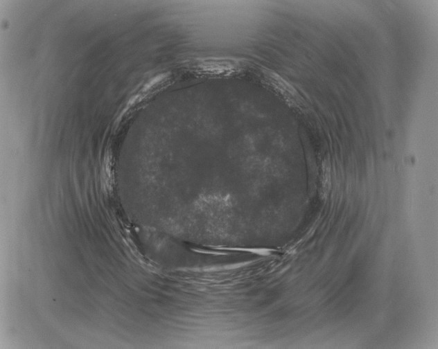 X0000081431394200701261811