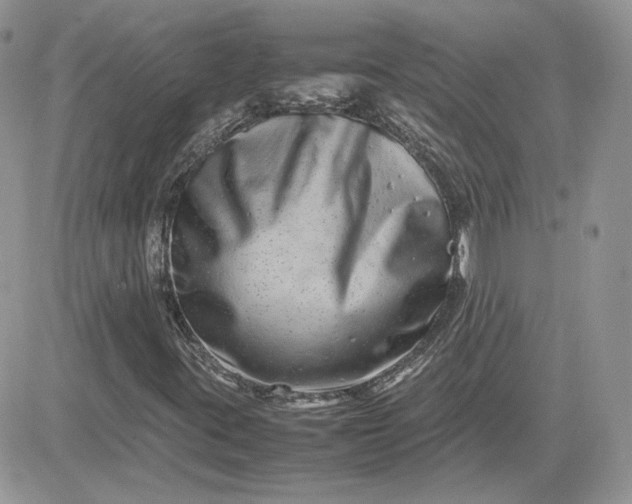 X0000081431395200701261811