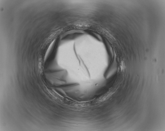 X0000081431396200701261811