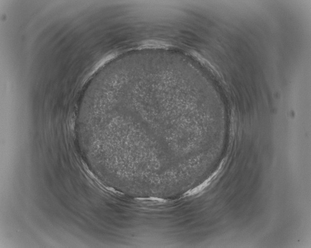 X0000081431401200701261811