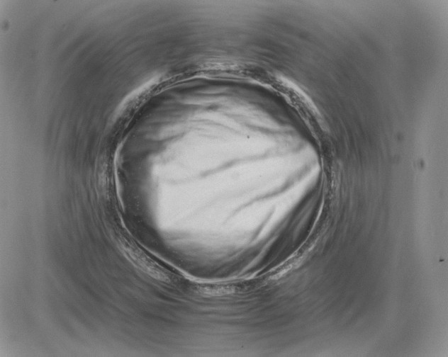 X0000081431403200701261811