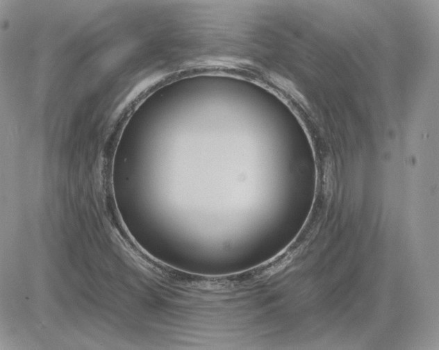 X0000081431404200701261811