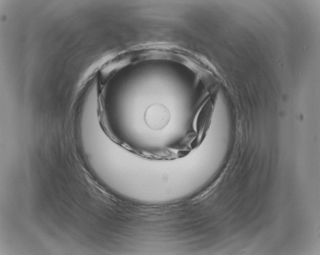 X0000081431406200701261811