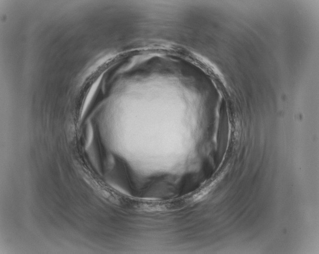 X0000081431407200701261811