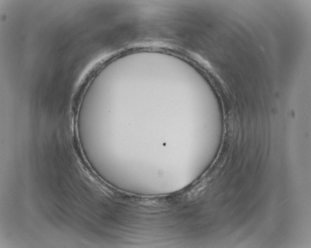 X0000081431408200701261811