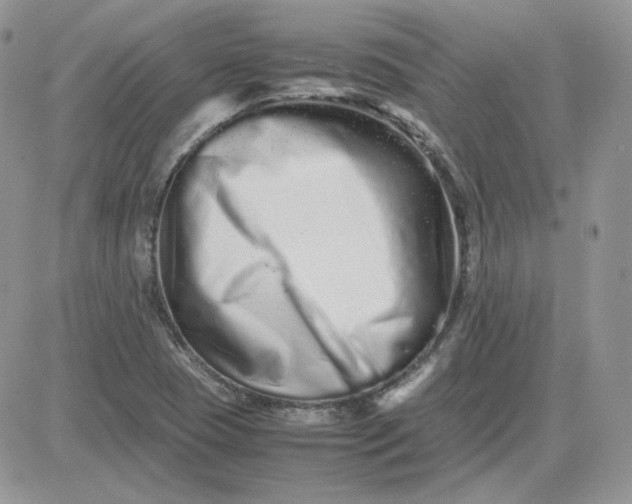 X0000081431409200701261811