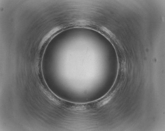 X0000081431410200701261811