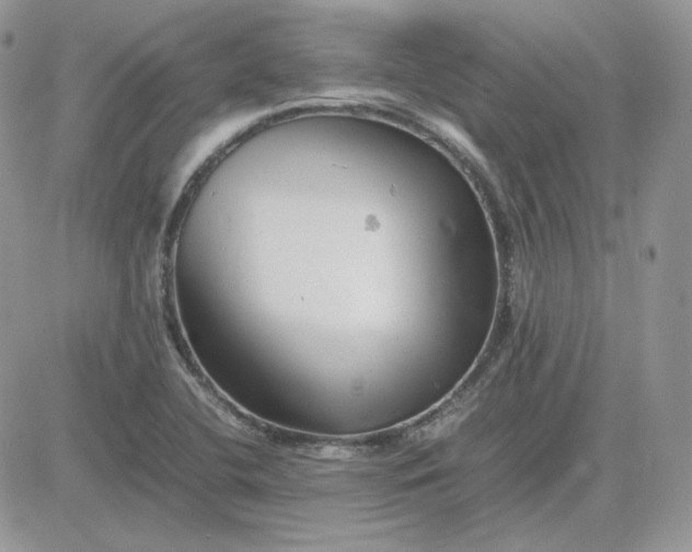 X0000081431412200701261811