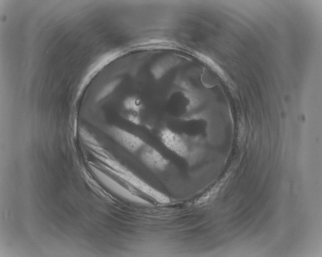 X0000081431413200701261811