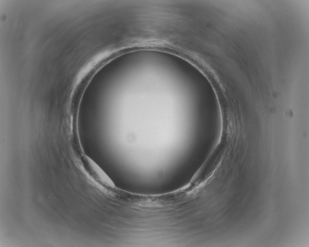 X0000081431414200701261811