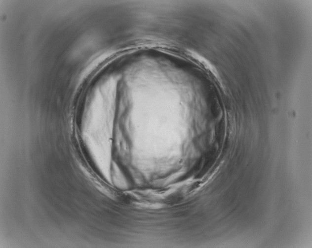 X0000081431415200701261811