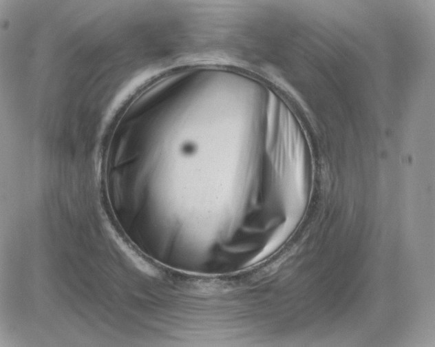 X0000081431416200701261811