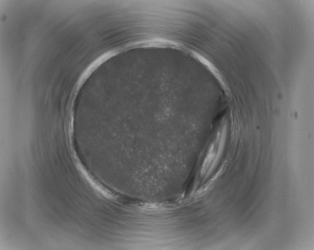 X0000081431418200701261811