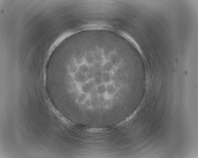 X0000081431419200701261811