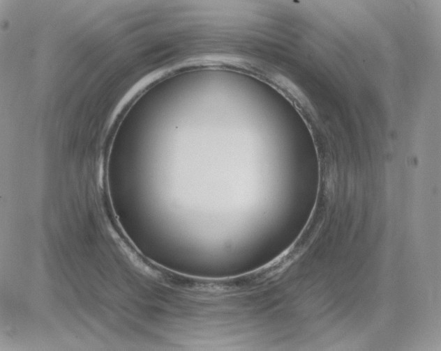 X0000081431420200701261811