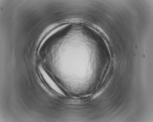 X0000081431421200701261811