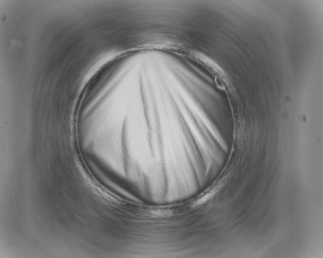 X0000081431423200701261811